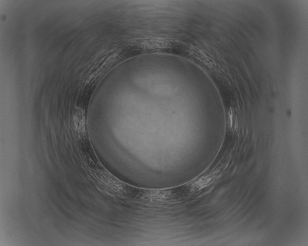 X0000078231251200611031036