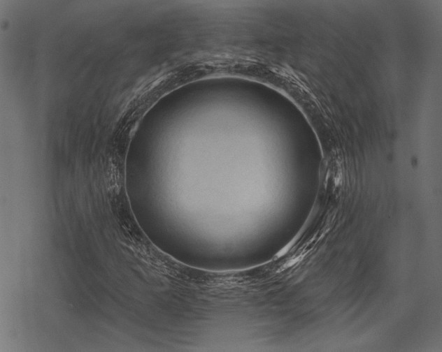 X0000078231253200611031036