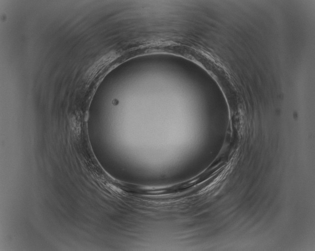 X0000078231257200611031036
