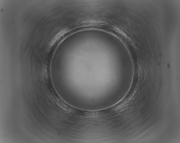 X0000078231259200611031036