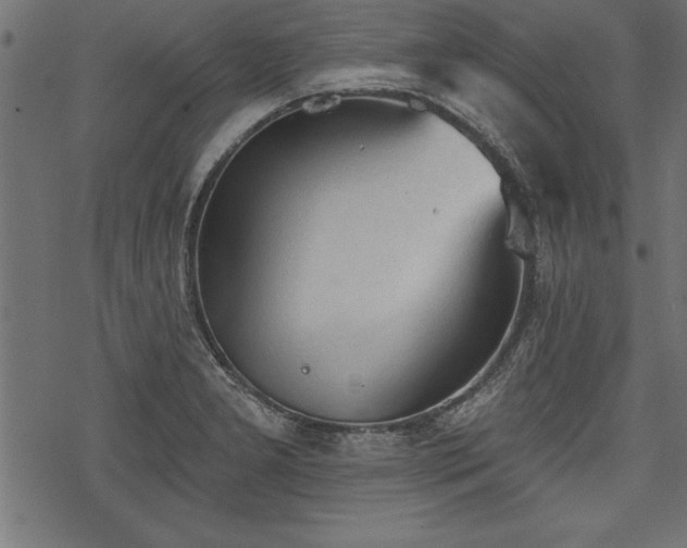 X0000078231277200611031035