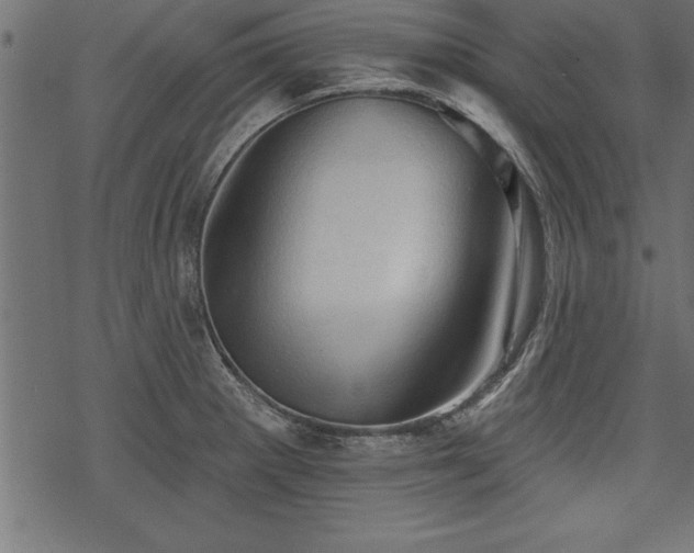 X0000078231281200611031035