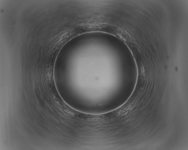 X0000078231300200611031034