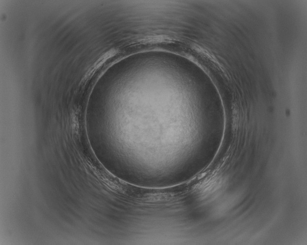 X0000078231305200611031035