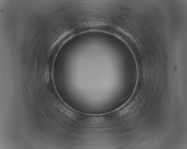 X0000078231306200611031035