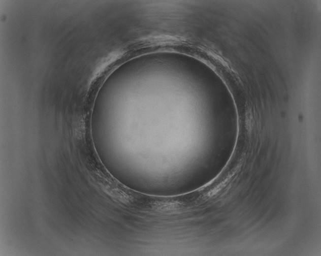 X0000078231309200611031035