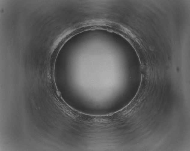 X0000078231312200611031035