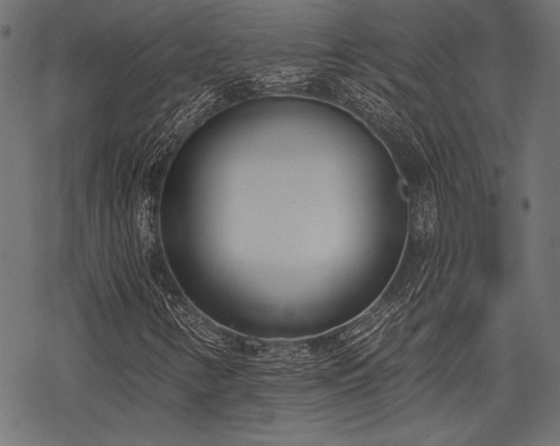 X0000078231346200611031034