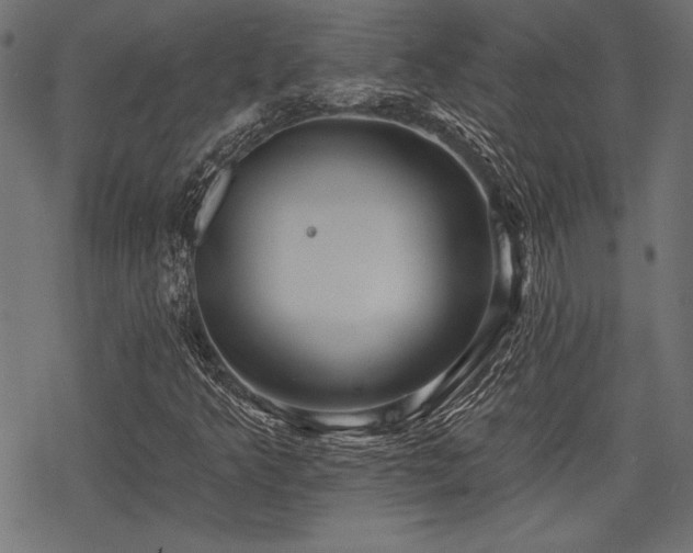 X0000078231349200611031034