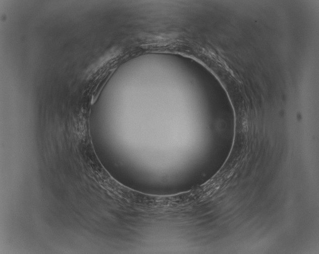 X0000078231350200611031034