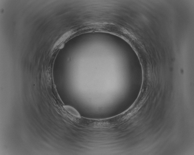 X0000078231354200611031034