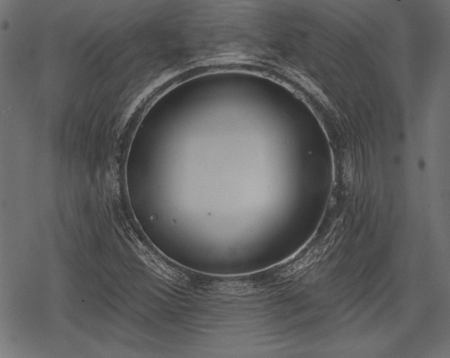 X0000078231356200611031034