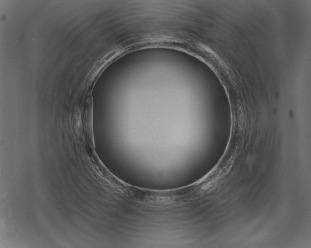 X0000078231361200611031034