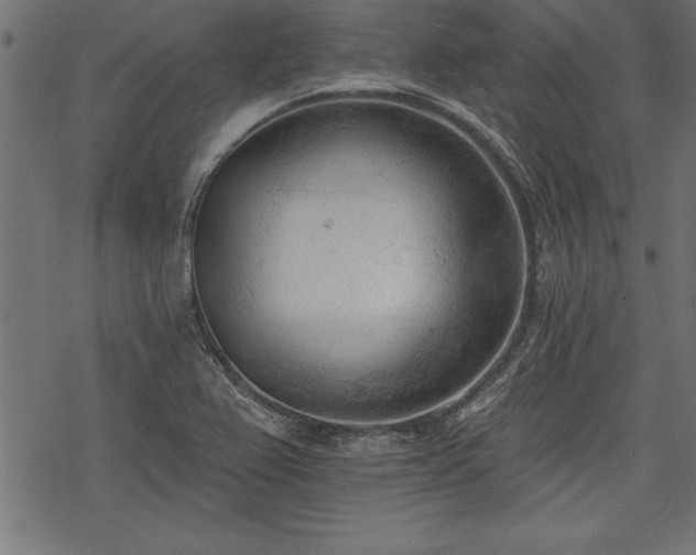 X0000078231367200611031034