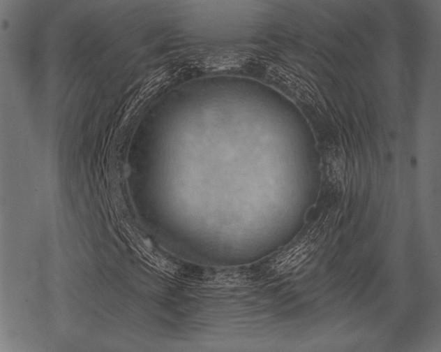 X0000078231393200611031033