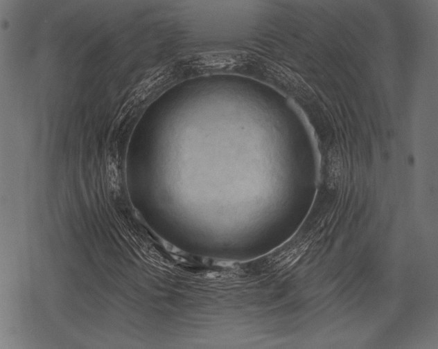 X0000078231394200611031033