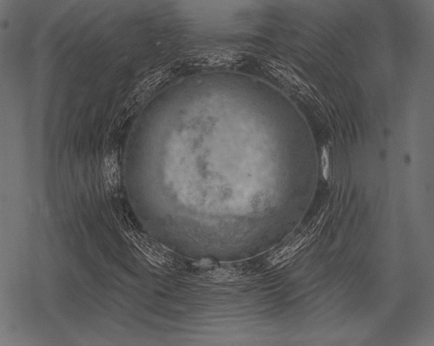 X0000078231395200611031033