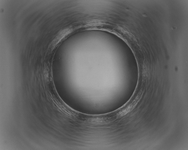 X0000078231401200611031033