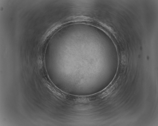 X0000078231407200611031033