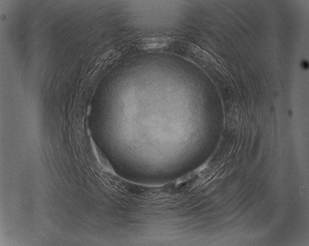 X0000078231441200611031033