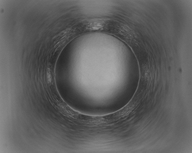 X0000078231442200611031033