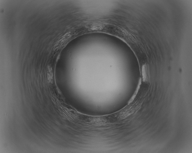 X0000078231443200611031033