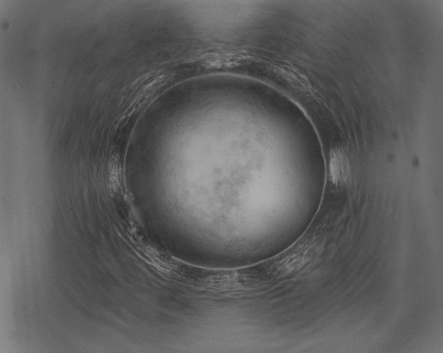 X0000078231444200611031033