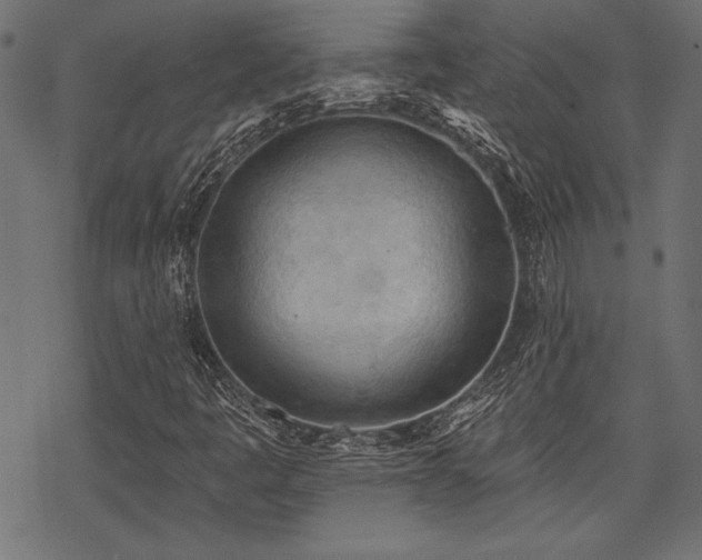 X0000078231445200611031033