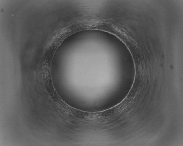 X0000078231447200611031033