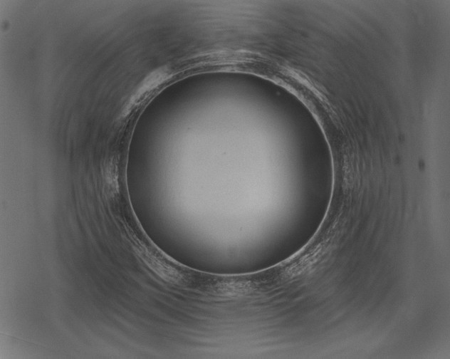 X0000078231451200611031033
