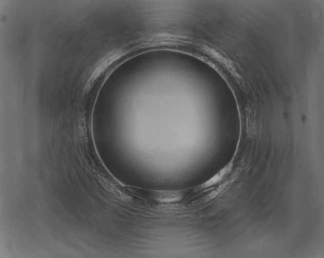 X0000078231453200611031033
