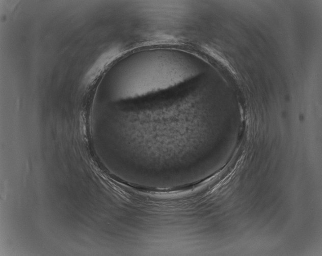 X0000078231455200611031033