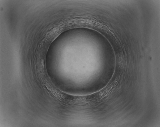 X0000078231489200611031031
