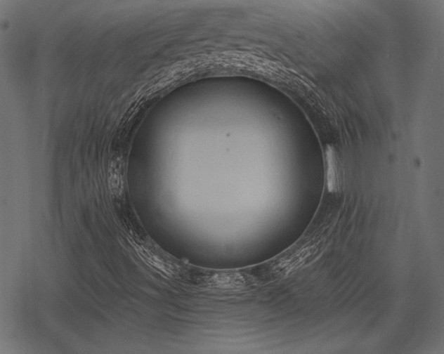 X0000078231491200611031031
