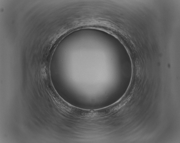 X0000078231497200611031031