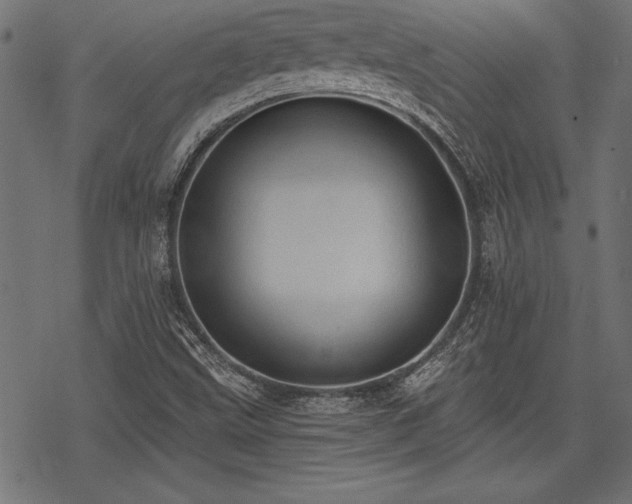 X0000078231499200611031031