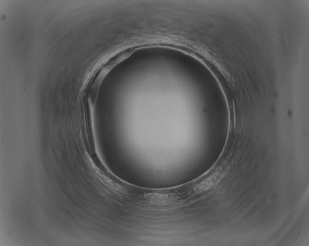 X0000078231500200611031031