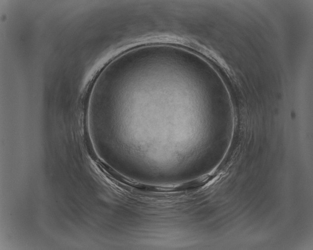 X0000078231504200611031032