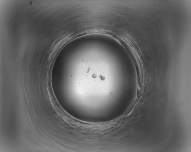 X0000078230001200611101021