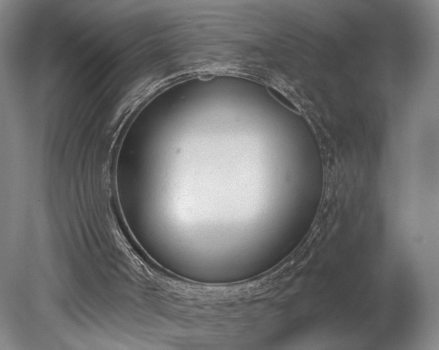 X0000078230002200611101021