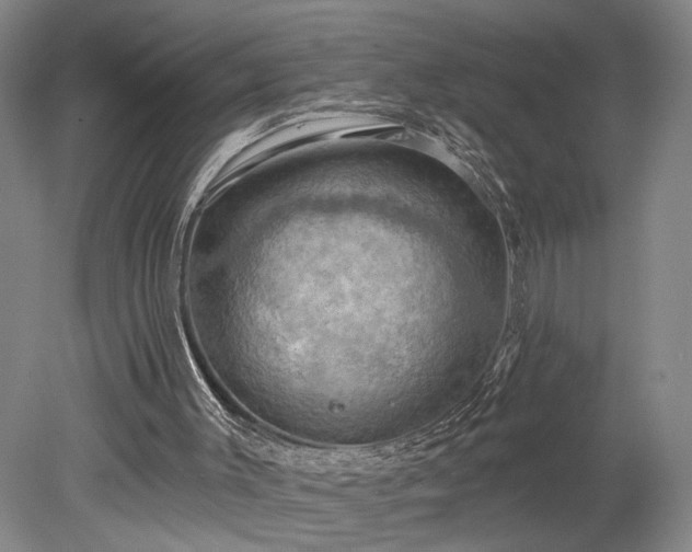 X0000078230003200611101021