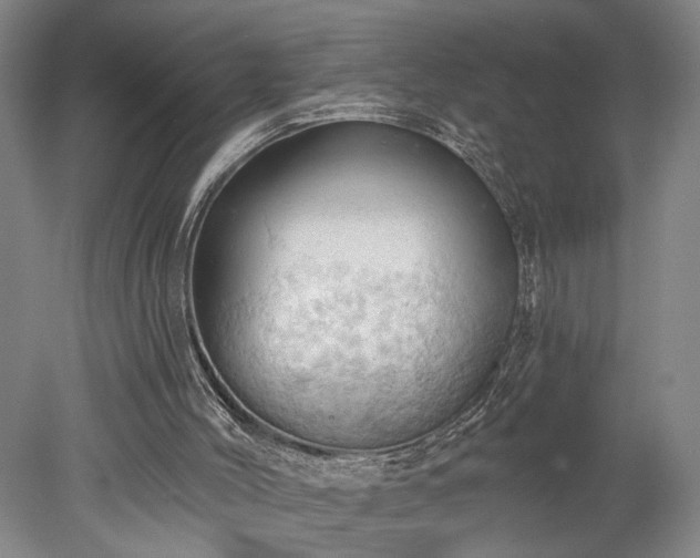 X0000078230004200611101021