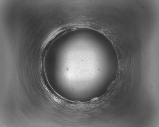 X0000078230005200611101021