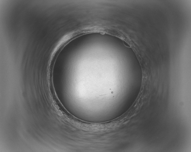 X0000078230006200611101021