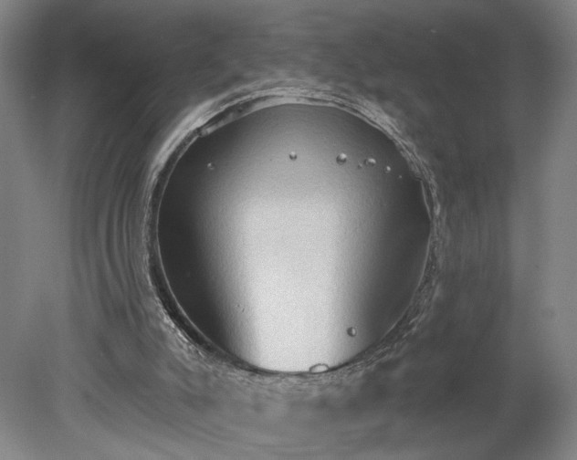 X0000078230007200611101021