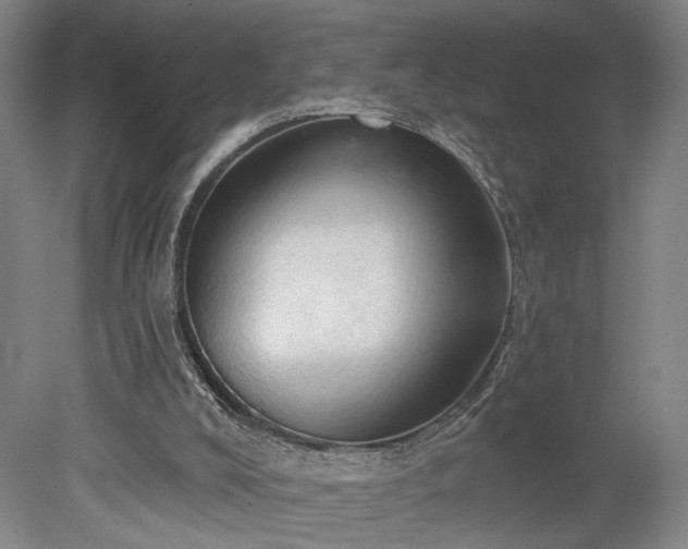 X0000078230008200611101021