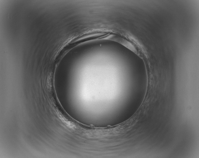 X0000078230009200611101021