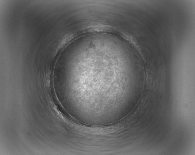 X0000078230010200611101021