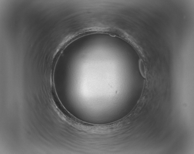 X0000078230011200611101021