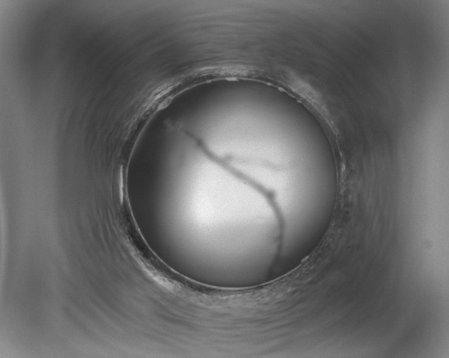 X0000078230013200611101021